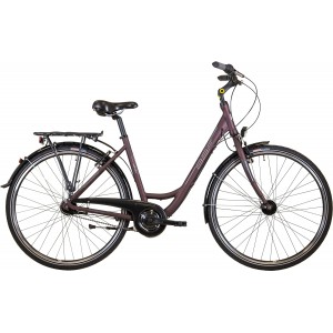 Dviratis BBF Rimini 7 28 moteriškas bordo