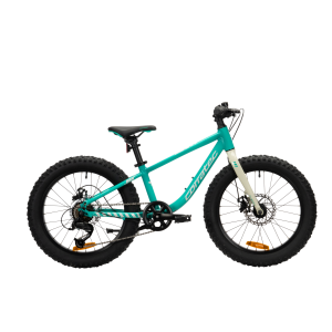 Dviratis Corratec Bow 20''