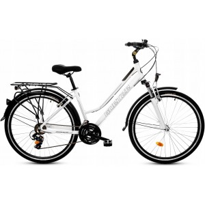 Dviratis Goetze Tour 28 WH