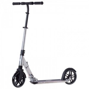 Paspirtukas Rideoo 200 Pro City Silver