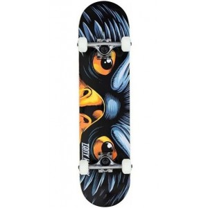 Riedlentė Tony Hawk SS 180 Complete Eye of the Hawk Multi 7.5